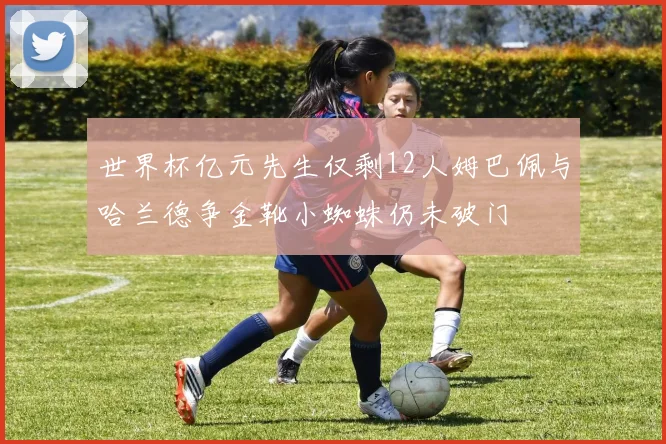 世界杯亿元先生仅剩12人姆巴佩与哈兰德争金靴小蜘蛛仍未破门
