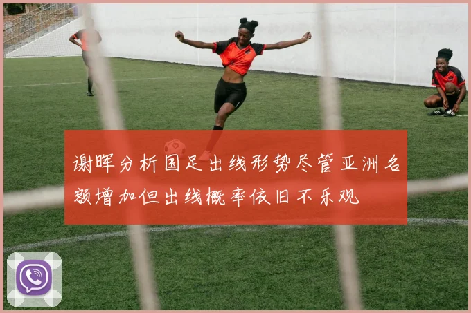 谢晖分析国足出线形势尽管亚洲名额增加但出线概率依旧不乐观